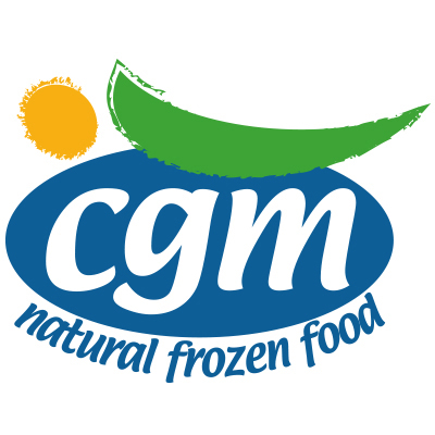 logo-CGM-srl logo CGM srl
