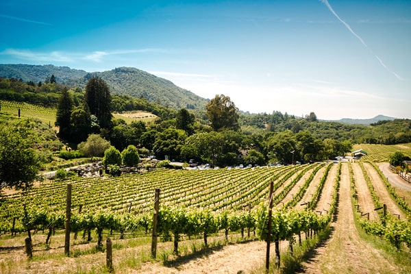 cascina la badia, f.lli ruggerone