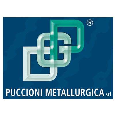 logo puccioni metallurgica