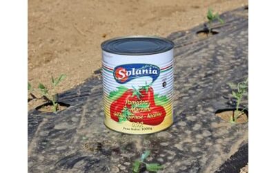 Solania – san marzano tomato, quality and taste