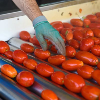 Solania-produzione-Italy-Export Solania lavorazione