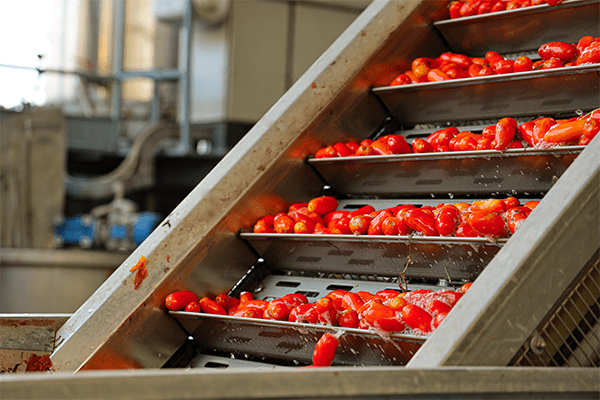 Solania Lavorazione Pomodoro San Marzano