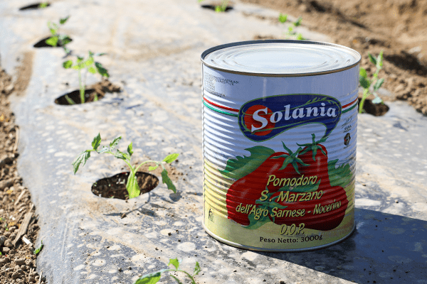 Solania Confezione Pomodoro San Marzano