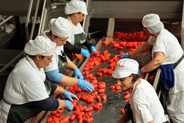 Solania Selezione Pomodoro San Marzano